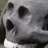 Skull Colors: Blackwash