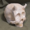 Skull with Horns