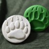 123: Bear, Paw