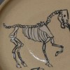 Macabre Animal: Horse