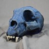 Cat Skull